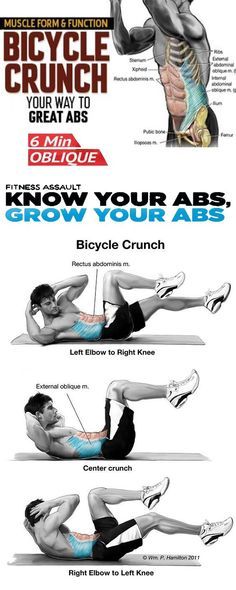 Bicycle Crunch  Bicycle Crunch Bycicle Crunches Workout, Easy Daily Workouts, Core Training Exercises, Six Pack Abs Workout, Ab Workout Men, Bicycle Crunches, Ripped Abs, 6 Pack Abs, Lower Abs Workout