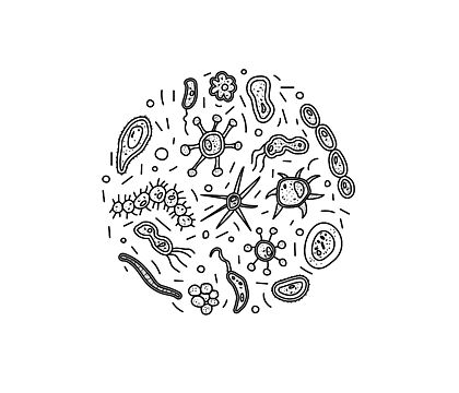 Bacteria Drawing, Bacteria Cell, Cell Drawing, Graphics Black And White, Round Png, Video App, Banner Template, Hd Images, Clipart Images