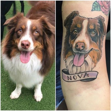 Aussie Tattoo Australian Shepherd, Australian Shepherd Tattoo, Traditional Ship Tattoo, Shepherd Tattoo, Flash Ideas, Dog Outline, Aussie Shepherd, Geometric Tattoo Design, Dog Things