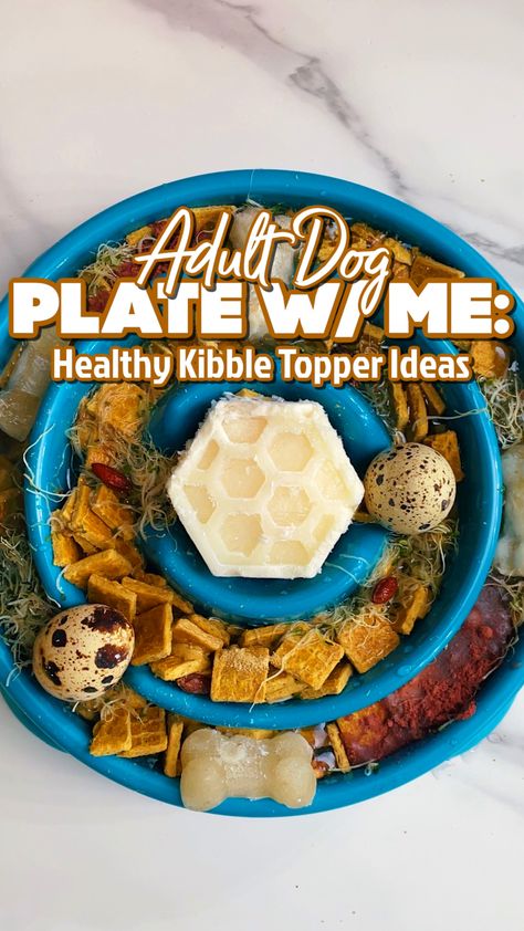 Adding Fresh Food To Kibble, Raw Dog Food Topper, Diy Dog Food Toppers, Kibble Toppers For Dogs, Kibble Toppers, Dog Food Toppers, Dog Raw Diet, Raw Dog Food Diet, Spoiled Pets