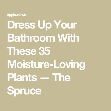 Dress Up Your Bathroom With These 35 Moisture-Loving Plants — The Spruce Plants In The Bathroom, The Spruce, Plant Needs, The Bathroom, Patio Garden, Trees To Plant, Outdoor Patio, House Plants, Bathrooms