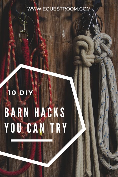 Tack Room Makeover, Horse Tack Organization, Horse Diy Projects, Barn Hacks Horse, Horse Barn Organization Ideas, Diy Stables For Horses, Tack Room Ideas Diy, Tackroom Ideas Equestrian, Horse Diy Ideas