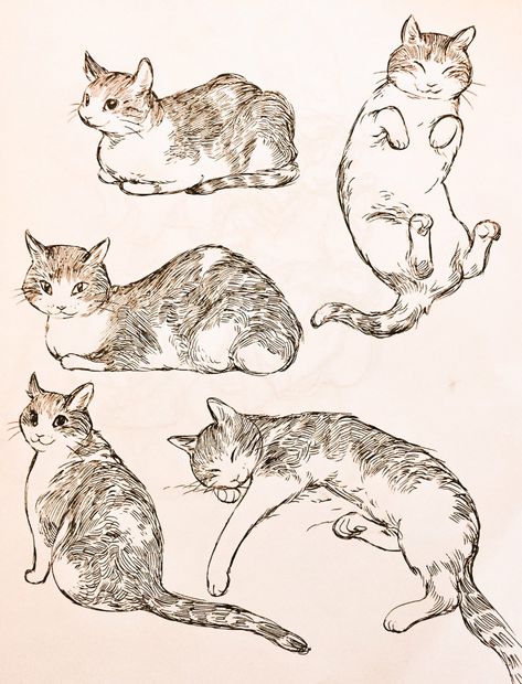 January 2018 sketchbook on Behance Cat Laying On Back Drawing, Cat Lying Down Drawing, 3 Cats Drawing, Dog Drawing Aesthetic, Cat Laying Down Drawing, Cat Topiary, Cat Poses Drawing Reference, Cat Dog Drawing, Cat Reference Drawing