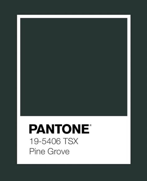 pantone pine grove color swatch Green Ombre, Dye My Hair, New Green, Very Excited, Better Together, My Vibe, Shades Of Green, Favorite Color, Astrology