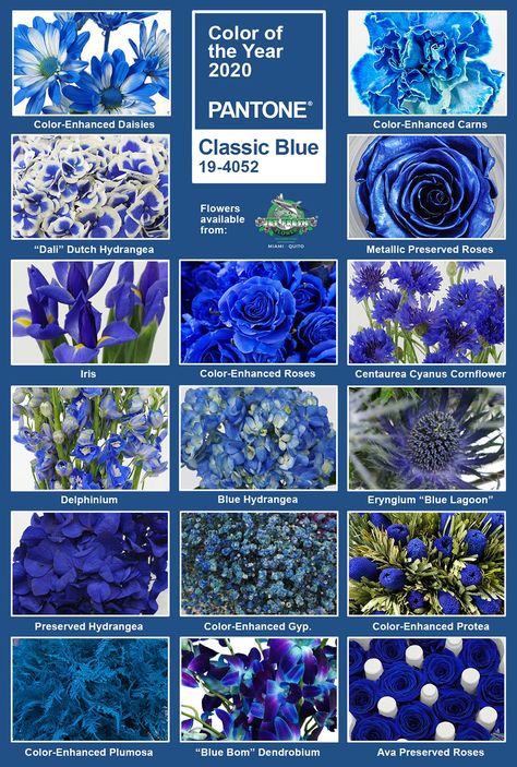 Small Blue Flowers Bouquets, Blue Flower Names, Classic Blue Wedding, Blue Flower Arrangements, Blue Flowers Bouquet, Flower Chart, Dark Blue Flowers, Navy Blue Flowers, Pantone Color Of The Year