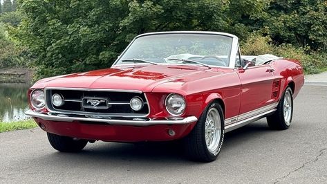 Auction ending soon! This 1967 Ford Mustang convertible was repainted under prior ownership and is powered by a rebuilt 302cid V8 mated to a three-speed automatic transmission. Auction ends Thursday, October 19th! https://autohunter.com/Listing/Details/45613325/302POWERED-1967-FORD-MUSTANG-CONVERTIBLE?utm_source=pinterest&utm_medium=Later&utm_campaign=Live 1967 Mustang Convertible, 1965 Mustang Convertible, Mustang 1964, Ford Mustang 1964, 1967 Ford Mustang, 1967 Mustang, 1965 Mustang, Bluetick Coonhound, 1970 Ford Mustang