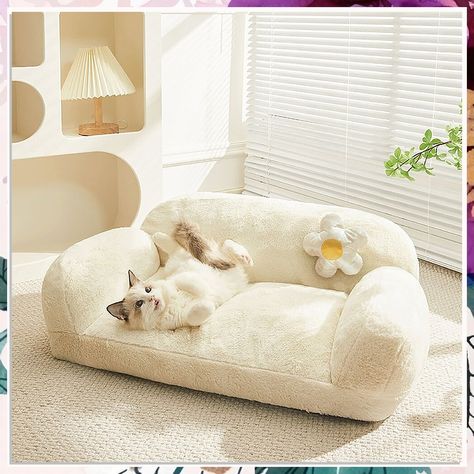 Looking for the purr-fect cat bed ideas? Check out our collection of 8 cozy and stylish options to create a comfortable space for your feline friends. From luxurious designs to DIY projects, we've got you covered. Discover the best cat bed ideas that will make your furry companion feel like royalty! Cat Sofa, Gatto Carino, Pet Couches, Pet Sofa, Dog Bed Furniture, Cat Beds, Orthopedic Dog Bed, Cat Room, Cushion Design