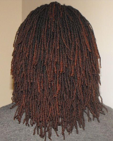 Layered Locs, French Twist Short Hair, Loc Method Natural Hair, Dread Journey, Dyed Locs, Sisterlocks Journey, Loc Method, Locs Journey, Sister Locks