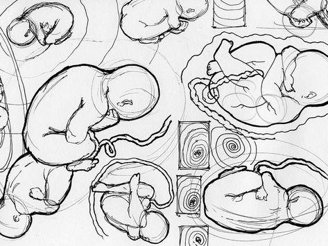 Sketches Embryo / Fetus Embryo Drawing, Embryo Art, Drawing Feelings, Pregnant Belly Painting, Human Figure Sketches, Ap Studio Art, Figure Sketching, Surrealism Painting, Outline Drawings