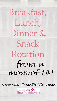 Meal Rotation, Family Breakfast, Preschool Lesson Plans, Frugal Meals, Preschool Lessons, School Snacks, Lunch Snacks, Easy Lunches, Large Family