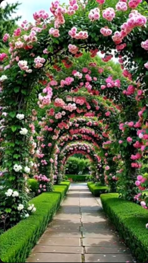 Garden Path, English Garden, Garden Paths, Flowers