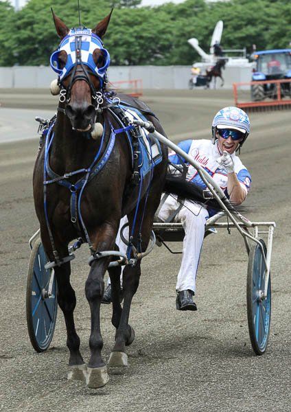 Standardbred Racing, Trotting Horse, Standardbred Horse, Horse Cart, Racing Harness, Hermes Scarves, Eventing Horses, Harness Racing, Horse Race