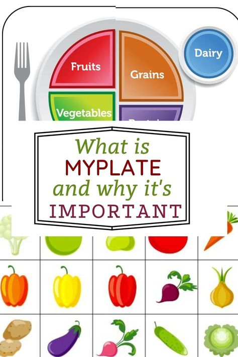 what is MyPlate and why it's important Plant Protein Sources, No Sodium Foods, Healthy Bodies, Health Teacher, School Nutrition, Healthy Plate, Dairy Alternatives, My Plate, Most Nutritious Foods