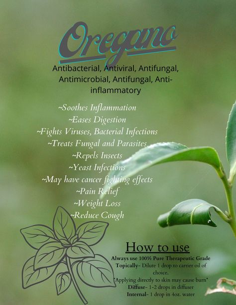 Oregano Essential Oils uses and benefits. Great for aromatherapists, massage therapist or anyone wanting to use essential oils. Digital download will print 8.5x11 inches. Oil Of Oregano Benefits, Oils For Ear Ache, Clove Oil Benefits, Carrier Oil Benefits, Essential Oils Uses, Oregano Oil Benefits, Herbal Witch, Oregano Essential Oil, Essential Oils Guide