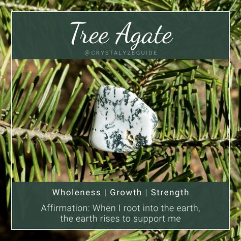 Tree Agate Meaning, Tree Agate Crystal, Agate Properties, Healing Power Of Nature, Agate Meaning, Mystical Places, Crystal Power, Crystal Guide, Crystals Healing Properties