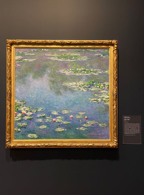 Water Lilies Painting, Claude Monet Water Lilies, Claude Monet Paintings, Monet Water Lilies, Lily Painting, Monet Art, Chicago Art, Monet Paintings, Art Institute Of Chicago