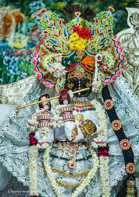 Radha Vallabh Shri Harivansh, Radha Vallabh Ji Vrindavan Hd, Radhavallabh Vrindavan Wallpaper, Radha Vallabh Ji Vrindavan, Radha Vallabh Ji, Radhavallabh Ji, Hit Harivansh, Radhavallabh Lal, Vrindavan Photography Pictures