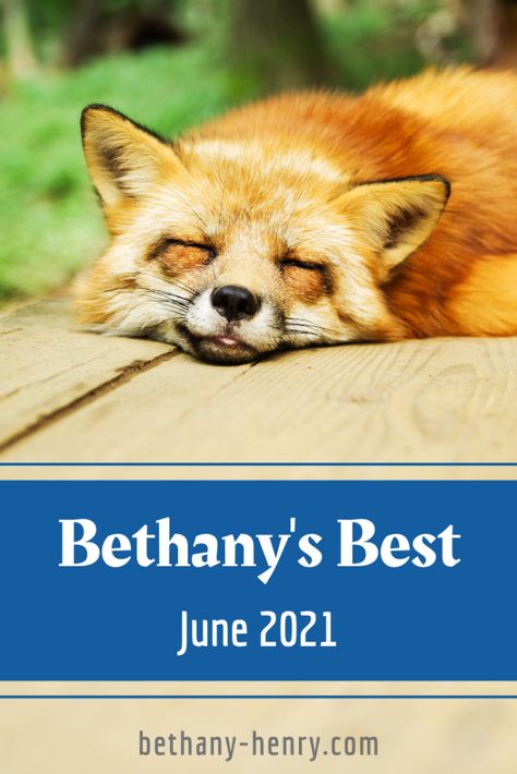 Fox Names, Names Male, Exotic Animals, Pet Fox, Writing Advice, Cute Fox, Fiction Writing, Classic Literature, Cool Names