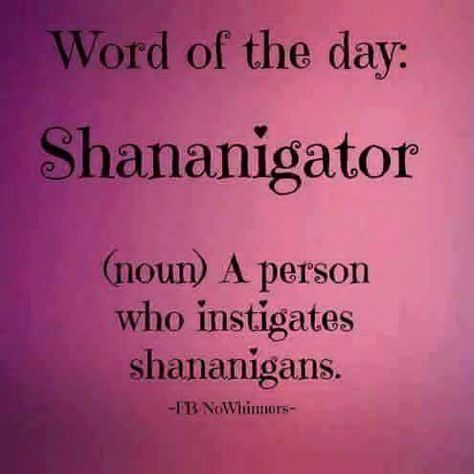 Shenanigans Quotes, Unique Words Definitions, Uncommon Words, Word Nerd, Weird Words, Unusual Words, Never Stop Dreaming, Word Definitions, Words To Use