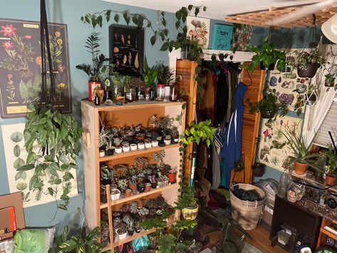 #roomdecor #bedroomdecor #aestheticroom #aestheticbedroom #bedroom #bedroomideas #girlsbedroom #plants #plantroom #cottagecore #academia #darkacademia #greenacademia #botanyacademia #goblincore #academiaaesthetic #goblinaesthetic #houseplants #plantcore #vintageroom #vintagebedroom #vintagedecor #bookshelf #plantshelf #whimsigoth #whimsigothdecor #witchydecor Earthy Rooms, Cottagecore Academia, Room Goals, Pretty Room, Dreamy Room, Room With Plants, Vintage Room, My Bedroom, Dream Room Inspiration