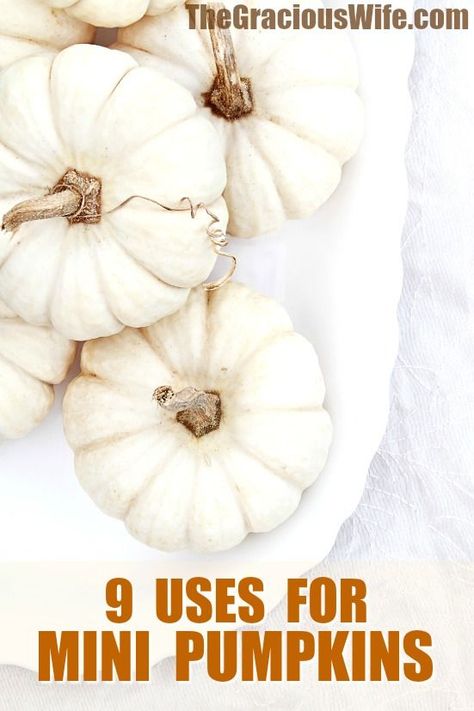 9 Uses for Mini Pumpkins - Pumpkins are everybody's favorite! They just scream Fall! Check out these 9 Uses for Mini Pumpkins to squeeze even more pumpkin into your life while the season lasts! Love decorating for Fall and mini pumpkins are so fun! Love these ideas Mini Pumpkins Decor, Cheap Halloween Diy, Mini Boo, Halloween Themed Food, Autumn Leaves Craft, Fall Pumpkin Crafts, Pumpkin Pudding, Fake Pumpkins, Pumpkin Centerpieces