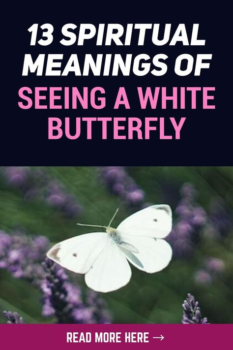 Seeing White Butterflies Meaning, White Butterflies Meaning, Different Butterfly Meanings, White Butterfly Symbolism, White Butterfly Meaning, Angelic Butterfly, Purity Symbol, Butterfly Symbolism, Butterfly Meaning