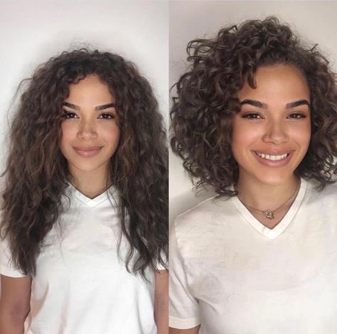 Medium Curly Bob, Curly Hair Photos, Short Curly Haircuts, Haircuts For Curly Hair, Curly Hair Inspiration, Curly Bob Hairstyles, Curly Hair Tips, Hair Photo, Short Curly Hair