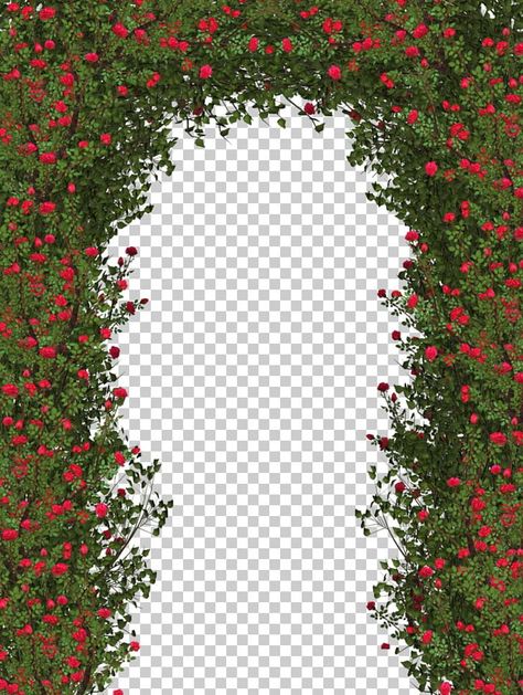 Bushes Png, Folder Graphic Design, Red Rose Png, Rose Shrub, Wedding Illustration Card, Clip Art Silhouette, Indian Wedding Invitation Card Design, Flower Png Images, Wedding Card Frames