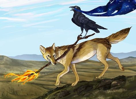 Coyote steals fire, Raven steals the stars. Based on Native American mythology. Coyote Trickster, Animal Mythology, Coyote Animal, Raven Images, Native American Folklore, Native American Mythology, Hopi Tribe, American Mythology, Turtle Island