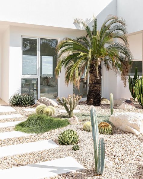 Mark Zeidler | Had an awesome opportunity to shoot one of the best landscaped ‘Palm Springs’ style gardens I’ve ever seen. Located in Toowoomba…… | Instagram Palm Spring Landscape Design, Cactus Garden Front Yard, Palm Springs Front Yard Landscape Design, Palm Springs Landscape Design, Palm Springs Style Garden, Palm Springs Pool House, Palm Springs Front Garden, Palm Spring Garden, Palm Springs Yard