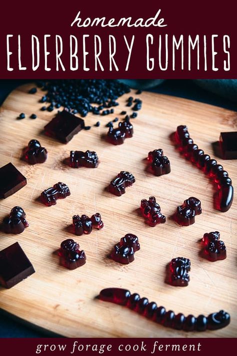 Elderberry Gummy Recipe, Elderberry Gummies Recipe, Autumn Herbs, Herbal Business, Homemade Gummies, Elderberry Syrup Recipe, Living Naturally, Elderberry Juice, Homemade Elderberry