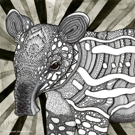 Tapir Drawing, Cool Baby, Endangered Animals, Weird Creatures, Art Party, Animal Party, Colour Images, Cool Baby Stuff, Pretty Cool