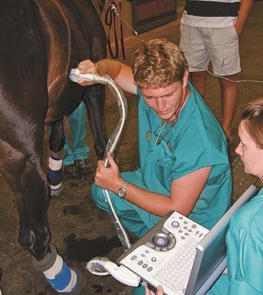 Veterinary technicians play myriad roles before, during, and after colic surgery. Learn more about their roles. Large Animal Vet Aesthetic, Equine Vet Aesthetic, Livestock Veterinarian, Horse Veterinarian, Veterinarian Surgery, Large Animal Veterinarian, Equine Vet Tech, Veterinarian Aesthetic, Vet Surgery