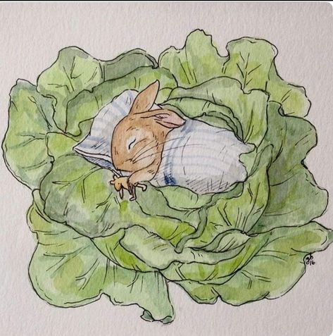 Beatrix Potter Mouse Illustrations, Vintage Cute Illustration, Vintage Children's Books Illustrations, Peter Rabbit Drawing, Peter Rabbit Aesthetic, Children's Books Illustration, Vintage Animal Illustration, Beatrix Potter Illustrations, Storybook Animals