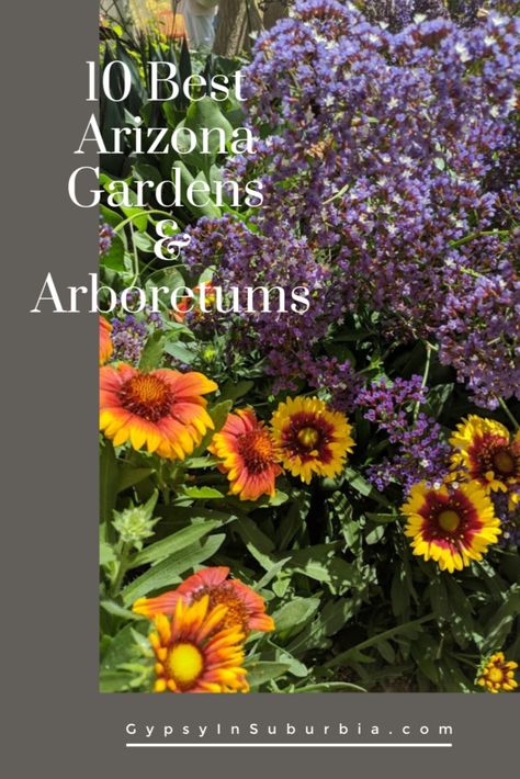 Take time to smell the flowers or just enjoy nature in these top 10 Arizona gardens and arboretums Arizona Gardens, Fossil Creek, Arizona Gardening, Arizona Adventure, Visit Arizona, Arizona Road Trip, Desert Travel, Italy Tours, Arizona Travel