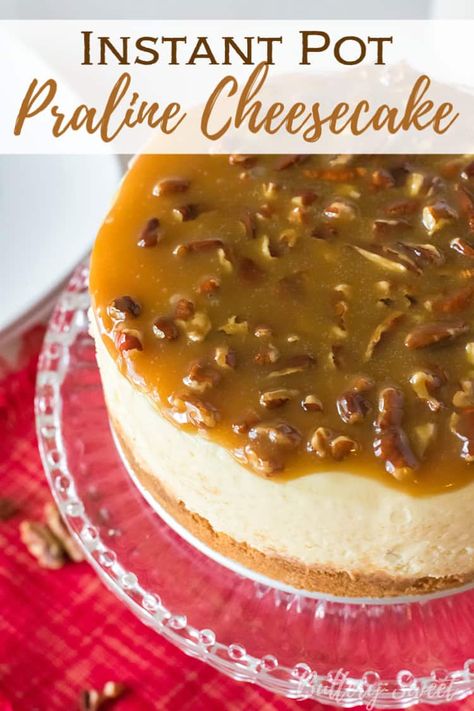 Praline Cheesecake, Praline Pecans, Oreo Crust Cheesecake, Dessert Cheesecake, Dessert Christmas, Peppermint Cheesecake, How To Make Cheesecake, Pecan Pralines, Apple Pies