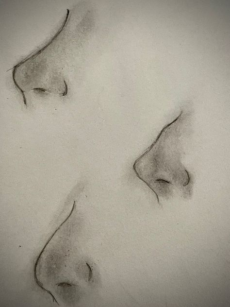 Side Profile Drawing Hooked Nose, Side Nose Sketch, Side Profile Nose Drawing, Side Nose Drawing, Nose Side Profile Drawing, Types Of Noses, Side Nose, Drawing Concepts, Side Profile Drawing