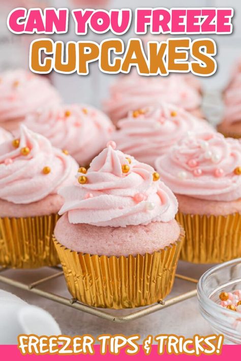 If you've ever wondered, "Can you freeze cupcakes?" we'll go into the in-depth answer. Homemade Cupcakes may be frozen to enjoy for later. We will show you exactly what to do and how long to let the cupcakes freeze. You can enjoy them whenever you want.  #dessertsonadime #canyoufreezecupcakes #cupcakefreezertips Freeze Cupcakes, Pink Deserts, Champagne Cupcake Recipes, Delicious Buttercream Frosting, Pink Champagne Cupcakes, Pink Champagne Cake, Cake Mix Cupcakes, Frozen Cupcakes, Cake Mix Ingredients