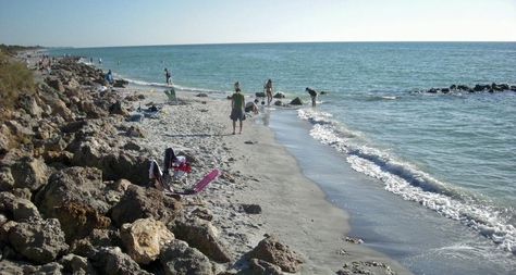 The beaches of Venice FL: Casperson Beach Florida Getaways, Fort Meyers, Sharks Teeth, Florida Getaway, Sands Of Time, Venice Florida, Florida Destinations, Intracoastal Waterway, Quiet Beach