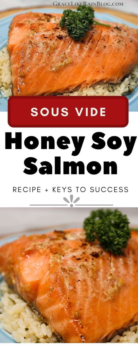 Sous Vide Honey Soy Salmon is a rich and flavorful dish that is perfect for busy weeknights. We're combining soy sauce, honey, garlic with some simple pantry ingredients for a fantastic flavor-boosting marinate for our salmon (from fresh or frozen!) Salmon Sous Vide, Sous Vide Cabbage, Salmon Sous Vide Recipe, Air Sous Vide Recipes, Sous Vide Fish, Sous Vide Salmon Recipes, Steamed Recipes, Stovetop Appetizers, Sous Vide Salmon