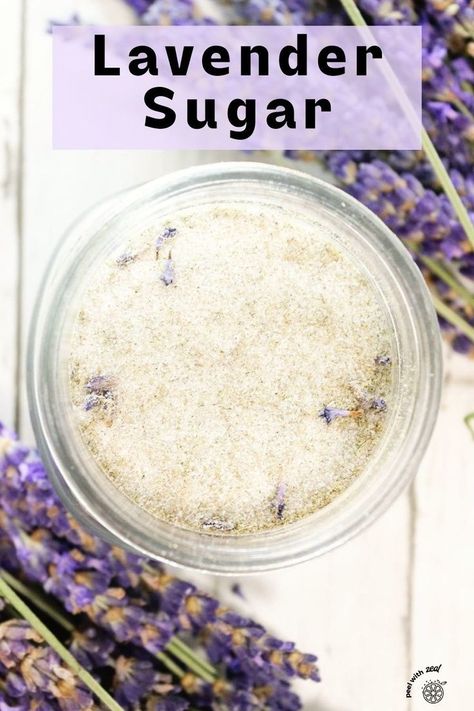 Creating your own lavender sugar at home is a simple method to impart a delicate and sweet lavender essence to your culinary creations. Perfect for enhancing the flavor of sugar cookies, scones, iced tea, and lemonade, this infusion adds a delightful floral note to your favorite recipes. Lavender Dessert, Using Lavender, Dog Farm, Cottage Food, Lavender Sugar, Infused Sugar, Lavender Recipes, Specialty Food Store, Culinary Lavender