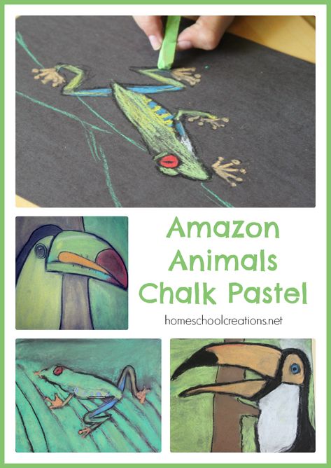 Amazon Animals Chalk Pastel Straight Aesthetic, Amazon Animals, Chalk Pastel Art, Art Project For Kids, Soft Pastel Art, Chalk Pastel, 3rd Grade Art, Project For Kids, Cool Art Projects