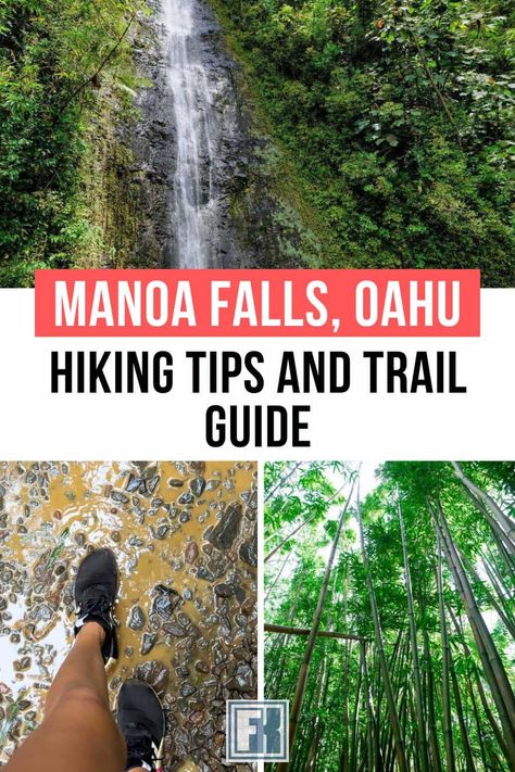 Discover the beauty of Manoa Falls with this comprehensive trail guide. Get useful hiking tips, discover when to go and how to make the most of your adventure on the stunning Oahu hike. Manoa Falls Oahu, Manoa Falls, Oahu Hikes, Hike Trail, Hawaiian Plants, Oahu Vacation, Oahu Travel, Honolulu Oahu, Hiking Guide