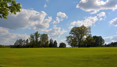 My pic at Wickham Park Manchester Park Background Aesthetic, Park Background Landscape, Sky For Photoshop Architecture, Park Illustration Background, Landscape 3d Render, Hdri Images, Cottagecore Life, Tree Photoshop, Background Landscape