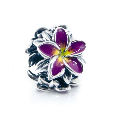 Sterling Silver Aurora Charm from our unique Summer Collection. Frangipani, also known as Plumeria is a unique flower typical for tropical summer destination like Hawaii or Caribbean and will remind you of a hot summer, beach and holidays in a very fun and colourful way. Beads Candy, Unique Flower, Tropical Summer, Unique Flowers, Candy Shop, Yellow Flower, Flower Charm, Tropical Flowers, Flower Jewellery