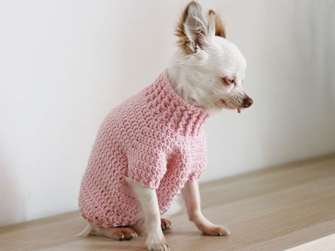 CROCHET Toy Chihuahua Sweater PATTERN pin Sweater Patterns Crochet, Crochet Dog Sweater Pattern, Crochet Dog Sweater Free Pattern, Toy Chihuahua, Chihuahua Sweater, Dog Sweater Crochet Pattern, Crochet Mittens Pattern, Dog Sweater Pattern, Crochet Dog Patterns