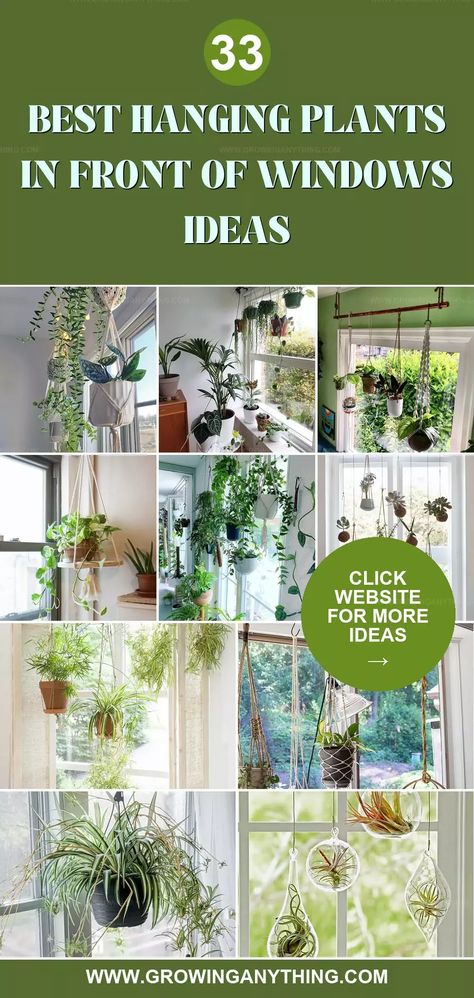 Hanging plants positioned in front of windows create a stunning visual effect and bring nature indoors. These plants thrive in bright, indirect light and add a touch of greenery to your home decor. Their cascading growth patterns can create a lush, inviting atmosphere. Find the best hanging plants to showcase in front of windows for a vibrant, lively space. Two Hanging Plants In Corner, How To Decorate With Hanging Plants, Plants As Curtains Window, Plant Hanging In Window, How To Hang Hanging Plants From Ceiling, Hanging Plants In Living Room Ideas, Over The Window Plant Hanger, Plants Above Doorway, Plant Hanger For Window