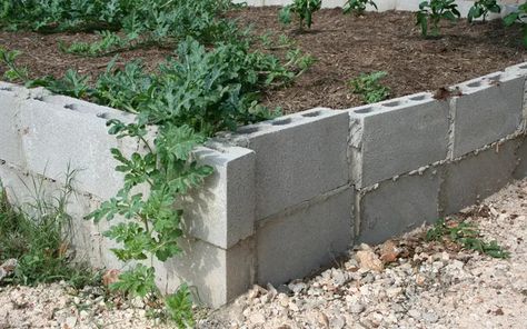 15 Creative Cinder Block Raised Garden Beds - Garden Lovers Club Block Raised Garden Beds, Cinder Block Garden Wall, Cinder Block Raised Garden, Toddler Garden, Cinder Block Fire Pit, Retaining Wall Blocks, Garden Blocks, Garden Retaining Wall, Raised Garden Bed Plans