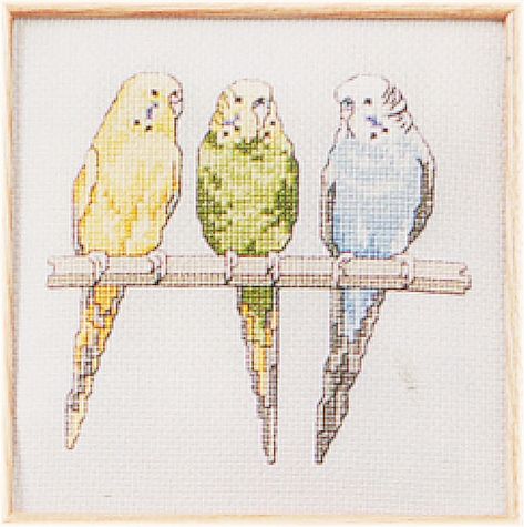 Parakeets by Mary Ellen Yanich Parakeet Cross Stitch, Stitching Ideas, Kid Craft, Parakeets, Cross Stitch Bird, Mini Cross Stitch, Mini Cross, Thread Art, Butterfly Baby