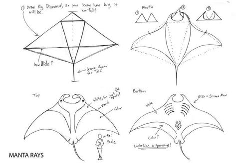 Manta Ray Template, How To Draw Manta Ray, Manta Ray Painting Acrylic, Manta Ray Design, How To Draw A Stingray, Manta Ray Drawing Sketch, Sting Ray Drawings, Mantaray Drawing, Kite Ideas